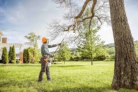 Best Tree Mulching  in Freeport, FL